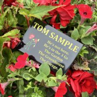 Enclosed Ashes Medium Granite Style Commemorative Plaque