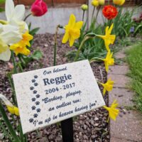 Medium Granite Style Commemorative Plaque - Image 3