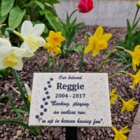 Medium Granite Style Commemorative Plaque