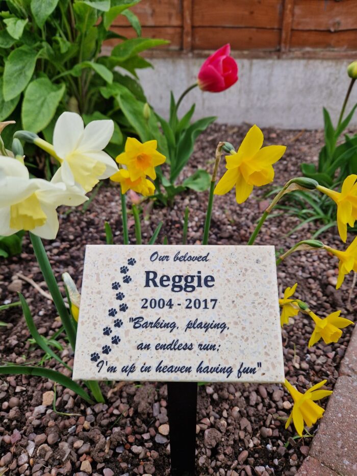 Medium Granite Style Commemorative Plaque
