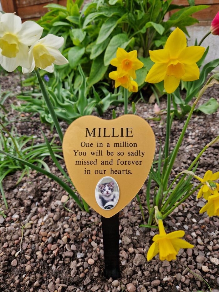 Heart Perspex Commemorative Plaque with Photograph