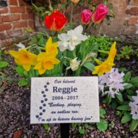 Enclosed Ashes Medium Granite Style Commemorative Plaque - Image 2